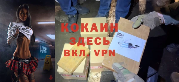 шишки Алексеевка