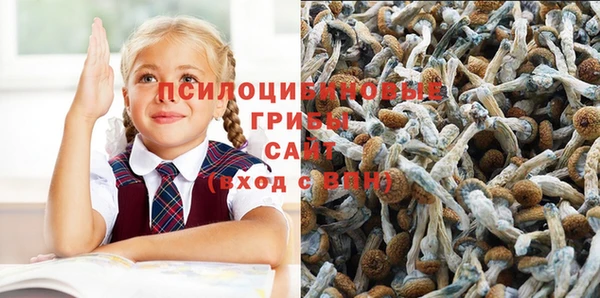 дмт Армянск