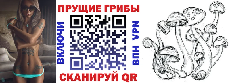 Галлюциногенные грибы Psilocybe  Ликино-Дулёво 