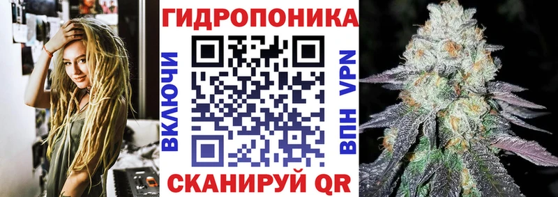 Канабис план  Ликино-Дулёво 